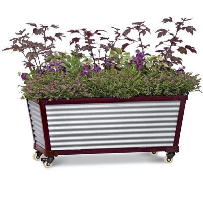 Gardener's Supply Company Short Galvanized Self-Watering Trough Planter 3 Gardener's Supply Company Short Galvanized Self-Watering Trough Planter