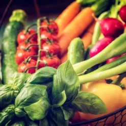 Back To The Roots 10pk Organic USA Beginner’s Garden Seeds 10 Back To The Roots 10pk Organic USA Beginner’s Garden Seeds -Garden Promotional Store GUEST d3aebd0c a517 4caf 8f30 4a803efcd6b0