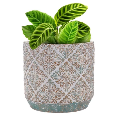 Inspirella 6.3 Inch Timeless Colorful Hand Painted Glazed Ceramic Round Indoor Outdoor Succulent Plant Pots With Drainage Holes And Plugs (2 Pack) 4 Inspirella 6.3 Inch Timeless Colorful Hand Painted Glazed Ceramic Round Indoor Outdoor Succulent Plant Pots With Drainage Holes And Plugs (2 Pack) - Image 2