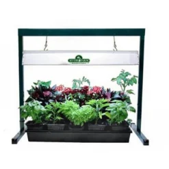 Hydrofarm JS10065 Jump Start 2-Feet Hydroponic Grow Light Stand (Stand Only) -Garden Promotional Store GUEST d87fec21 bee3 4a8b b56b d24223be8151