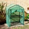 Sunnydaze Decor Sunnydaze Outdoor Portable Growing Rack 2-Tier Greenhouse With Roll-Up Door - 2 Shelves - Green 1 Sunnydaze Decor Sunnydaze Outdoor Portable Growing Rack 2-Tier Greenhouse With Roll-Up Door - 2 Shelves - Green -Garden Promotional Store GUEST db2319b9 809a 4ccb 9d12 0147809479b6