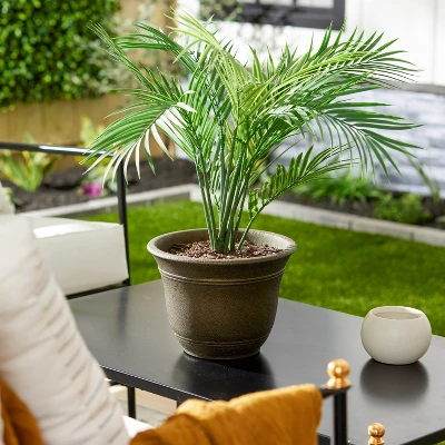 HC Companies SRA10001P02 Sierra 10 Inch Self Watering Round Weather Resistant Plastic Resin Flower Garden Planter Pot Container, Celtic Bronze 3 HC Companies SRA10001P02 Sierra 10 Inch Self Watering Round Weather Resistant Plastic Resin Flower Garden Planter Pot Container, Celtic Bronze