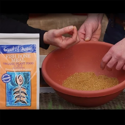 Coast Of Maine OMRI Listed Fish Bone Meal Pack Organic Compost Potting Soil Blend For Container Gardens And Flower Pots, 3 Pound Bag (2 Pack) 6 Coast Of Maine OMRI Listed Fish Bone Meal Pack Organic Compost Potting Soil Blend For Container Gardens And Flower Pots, 3 Pound Bag (2 Pack) - Image 4