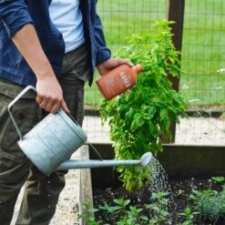 Arber 8oz Organic Plant Food Concentrate -Garden Promotional Store GUEST dd8c2696 839e 4b9a bb22 efbe7d263a1c