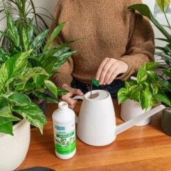 Back To The Roots All Purpose Plant Food 1.5lb -Garden Promotional Store GUEST e3158163 5203 4f67 ad23 b96578e1a69f