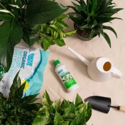 Back To The Roots All Purpose Plant Food 1.5lb -Garden Promotional Store GUEST e816c4fe 78a7 4e47 84aa 4748f370b05b