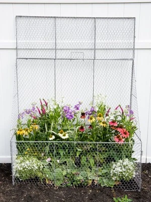 Gardener’s Supply Company Chicken Wire Cloche Flat Back Crop Coop | Sturdy Metal Flower, Garden Plants, And Backyard Vegetables Cover Protector | 20"D 4 Gardener’s Supply Company Chicken Wire Cloche Flat Back Crop Coop | Sturdy Metal Flower, Garden Plants, And Backyard Vegetables Cover Protector | 20"D - Image 2