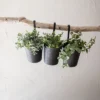 Set Of 3 Hanging Planters Black Metal - Foreside Home & Garden 2 Set Of 3 Hanging Planters Black Metal - Foreside Home & Garden -Garden Promotional Store GUEST ef912574 6e00 4a1d 887d 9929ef52c019