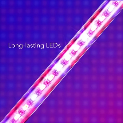 Dartwood LED Grow Lights For Indoor Plants With Red Blue Spectrum - Plant Grow Light With 9 Brightness Levels, Auto On Off Function (2 Pack) 4 Dartwood LED Grow Lights For Indoor Plants With Red Blue Spectrum - Plant Grow Light With 9 Brightness Levels, Auto On Off Function (2 Pack) - Image 2