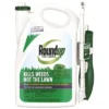 Roundup For Lawns Southern Herbicide With Wand - 1 Gal -Garden Promotional Store GUEST f389c283 b853 4179 847c ab5abf40a20e