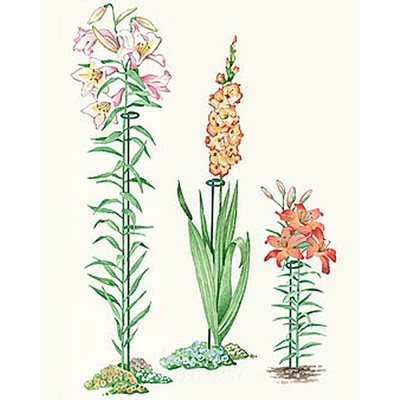 24" Single Stem Supports, Set Of 3 4 24" Single Stem Supports, Set Of 3 - Image 2