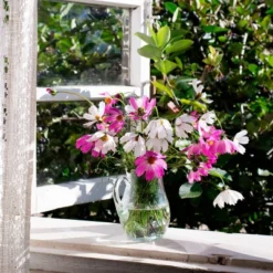 Back To The Roots 5pk Organic USA Flower Seeds -Garden Promotional Store GUEST f4347ac0 4180 4cf1 b5e5 4b29a72da013