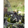 Gardener’s Supply Company Sturdy Chicken Wire Cloche Plant Protector Extension | Adds Broader Area Coverage Protection For Tall Plants Vegetables & 1 Gardener’s Supply Company Sturdy Chicken Wire Cloche Plant Protector Extension | Adds Broader Area Coverage Protection For Tall Plants Vegetables & -Garden Promotional Store GUEST f6517378 ce70 4247 a20a dbf10871ea0f