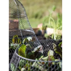Gardener’s Supply Company Sturdy Chicken Wire Cloche Plant Protector Extension | Adds Broader Area Coverage Protection For Tall Plants Vegetables &