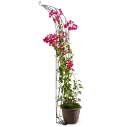 VegTrug™ Slimline Half Arch -Garden Promotional Store GUEST f6d3ae43 33df 426d a38c d6f446a91a78