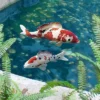 Design Toscano Japanese Inspired Floating Koi Sculpture Collection -Garden Promotional Store GUEST f8309b91 f93c 400e ab23 b46ded13df7f