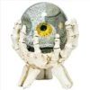 Design Toscano All-Seeing Eye Of The Skeleton Water Globe Statue 2 Design Toscano All-Seeing Eye Of The Skeleton Water Globe Statue -Garden Promotional Store GUEST f8891fee 49b4 4561 b251 339677070138