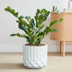 LuxenHome 14.7 In. Round Modern White MgO Planter -Garden Promotional Store GUEST f9fdce17 cc26 468f 9a77 3aa0febe8de9