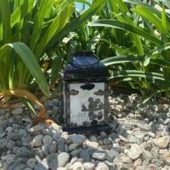 Disney 8.3" Mickey Mouse Solar Metal Outdoor Lantern Black 7 Disney 8.3" Mickey Mouse Solar Metal Outdoor Lantern Black -Garden Promotional Store GUEST fef08b27 87cb 443c ad8b 857680cb251f