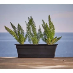 Bloem Rectangular Dura Cotta Window Box -Garden Promotional Store GUEST ff03914d 0024 4cd3 b46a ac575c4fd7dd